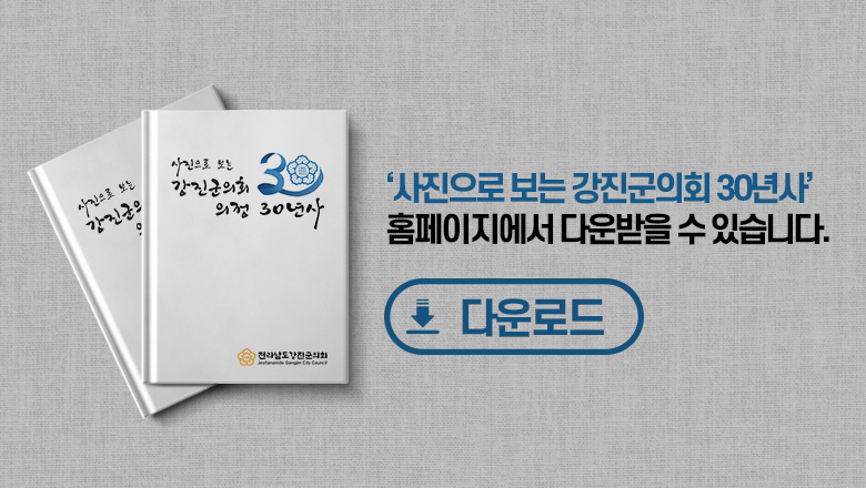 의회30년사
